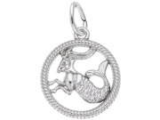 Capricorn Zodiac Charm by Rembrandt