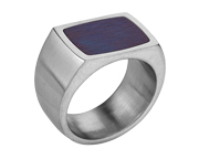 Mens Titanium Signet Ring