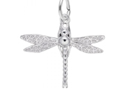 Dragonfly Charm by Rembrandt 