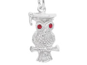 Graduation Owl Charm by Rembrandt