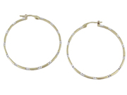2-Tone Hoop Earrings