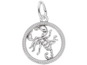 Scorpio Zodiac Charm by Rembrandt